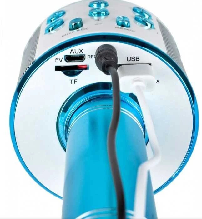 Malplay Žaislinis Karaoke Bluetooth mikrofonas