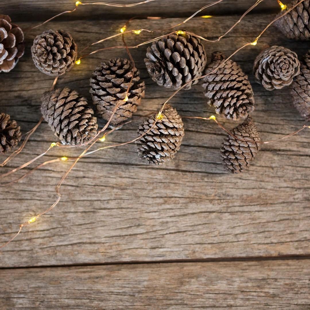 DecoKing LED dekoratyvinė girlianda, šiltai baltos spalvos, 16X20L;1,3m aprašymas - Prekės nuotrauka