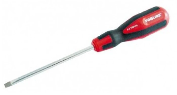 Atsuktuvas plokščias 100x5.0 mm Proline