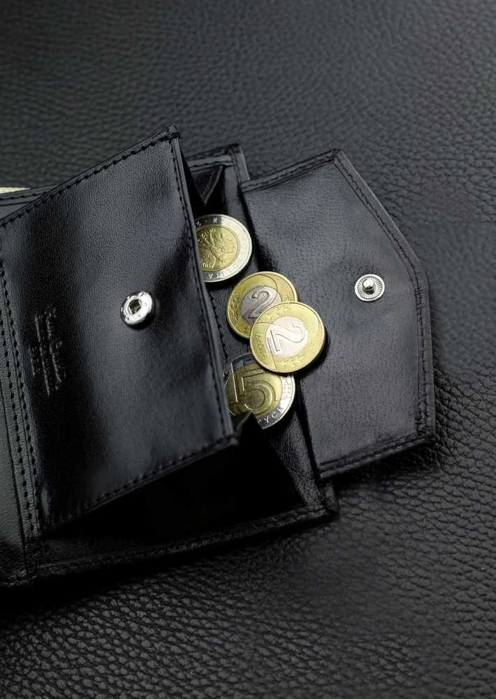 Dovanų rinkinys vyrams: odinė piniginė Pierre Cardin RFID ir diržas Stevens 623206