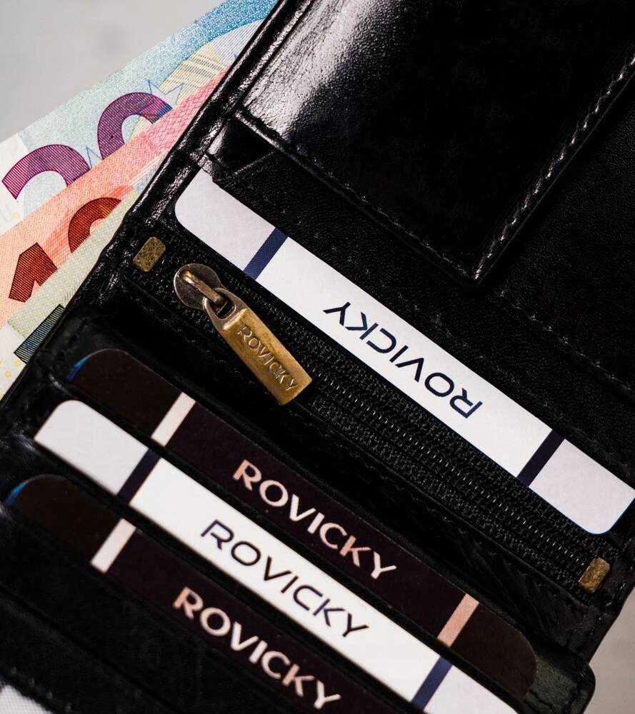 Vyriška odinė piniginė Rovicky RV108