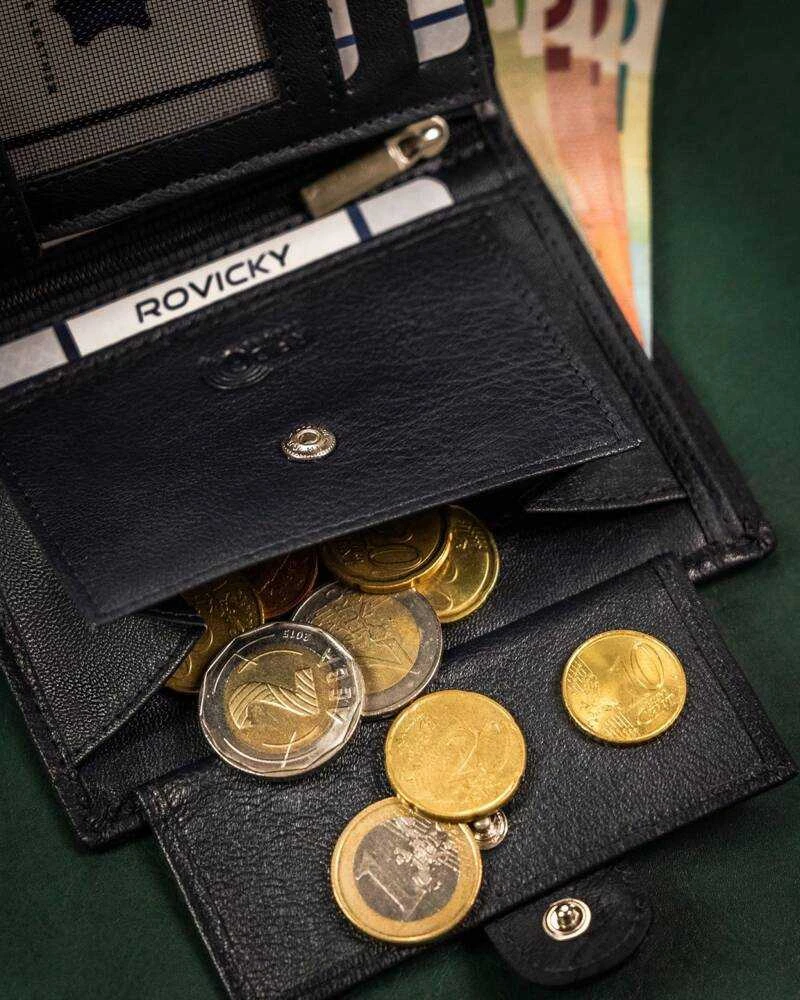 Vyriška odinė piniginė Rovicky RV176