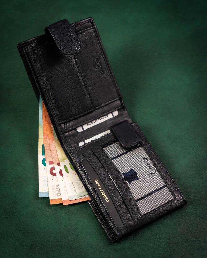 Vyriška odinė piniginė Rovicky RV180