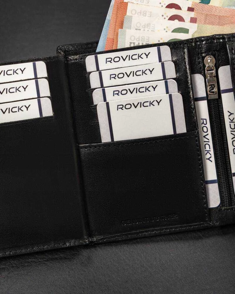 Vyriška odinė piniginė Rovicky RV187