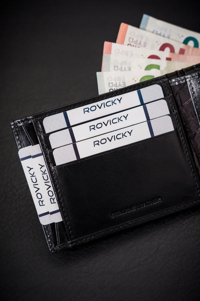 Vyriška odinė piniginė Rovicky RV209