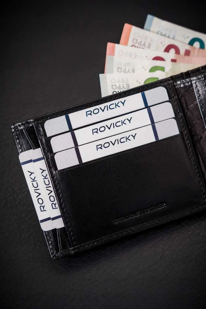 Vyriška odinė piniginė Rovicky RV209