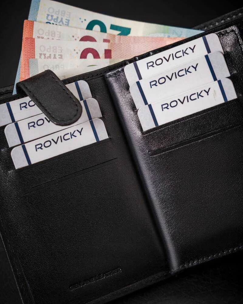 Vyriška odinė piniginė Rovicky RV210