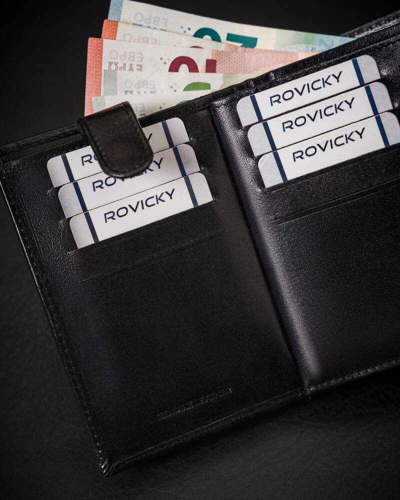 Vyriška odinė piniginė Rovicky RV211