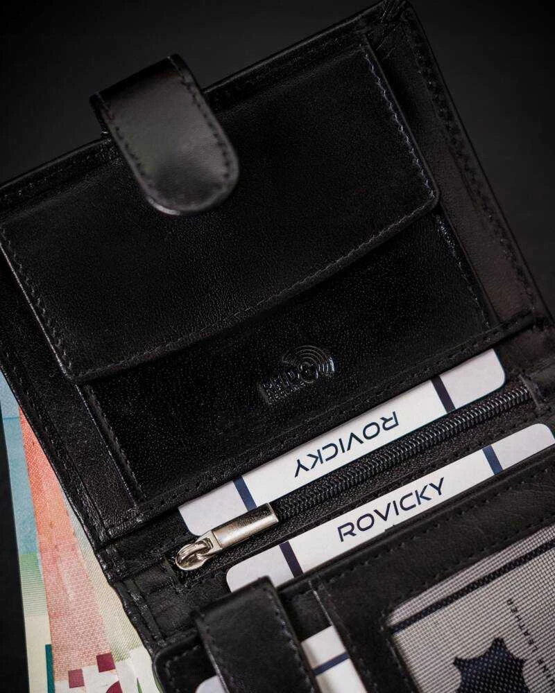 Vyriška odinė piniginė Rovicky RV215