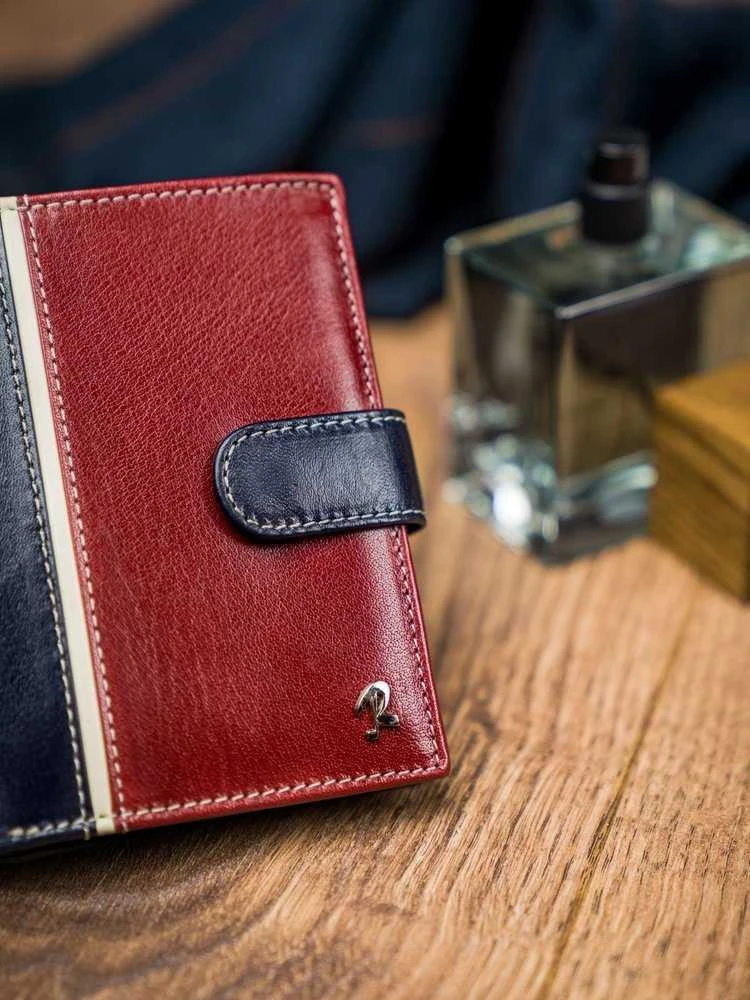 Vyriška odinė piniginė Rovicky RV35
