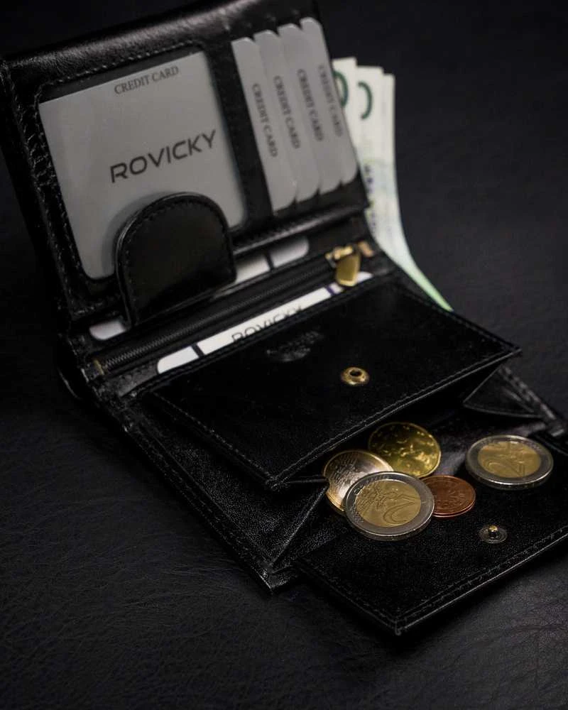 Vyriška odinė piniginė Rovicky RV36