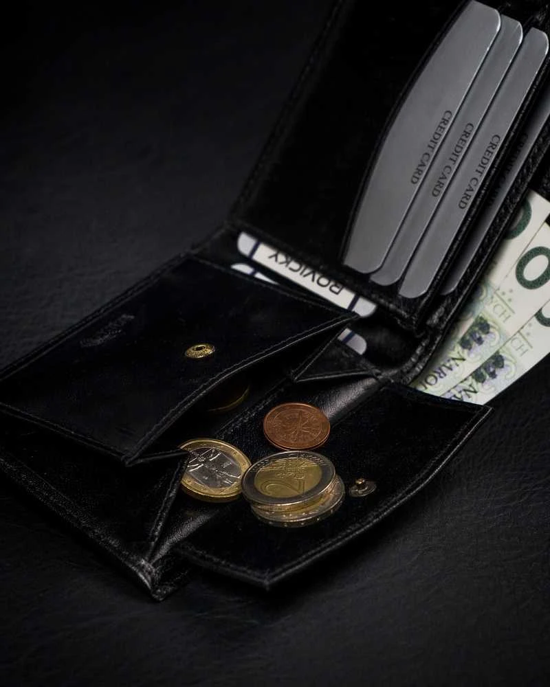 Vyriška odinė piniginė Rovicky RV40