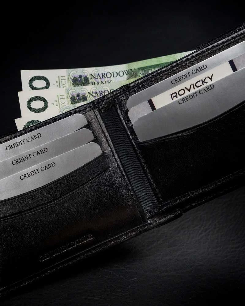 Vyriška odinė piniginė Rovicky RV40