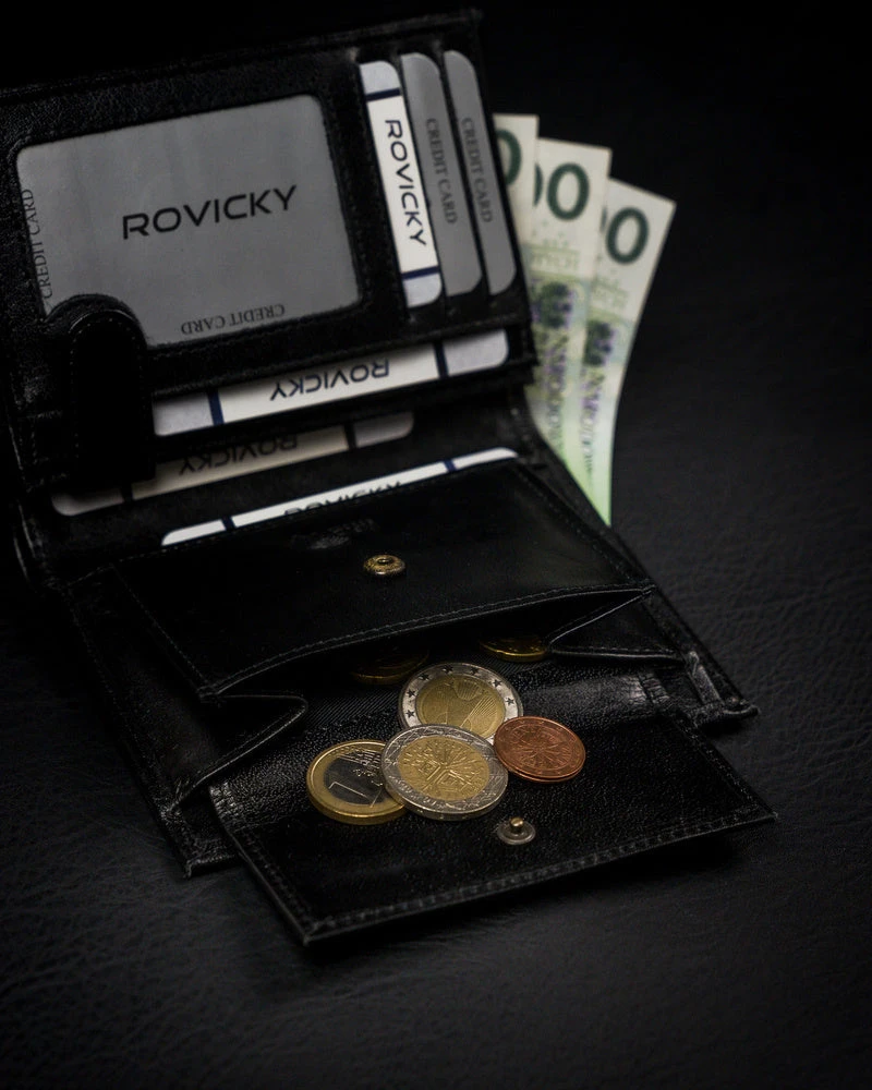 Vyriška odinė piniginė Rovicky RV48