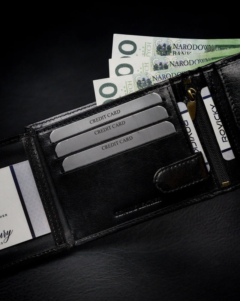 Vyriška odinė piniginė Rovicky RV56