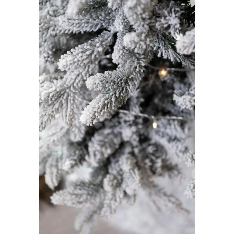 Winteria Dirbtinė eglutė Premium, žalia su baltu sniegu, 210 cm