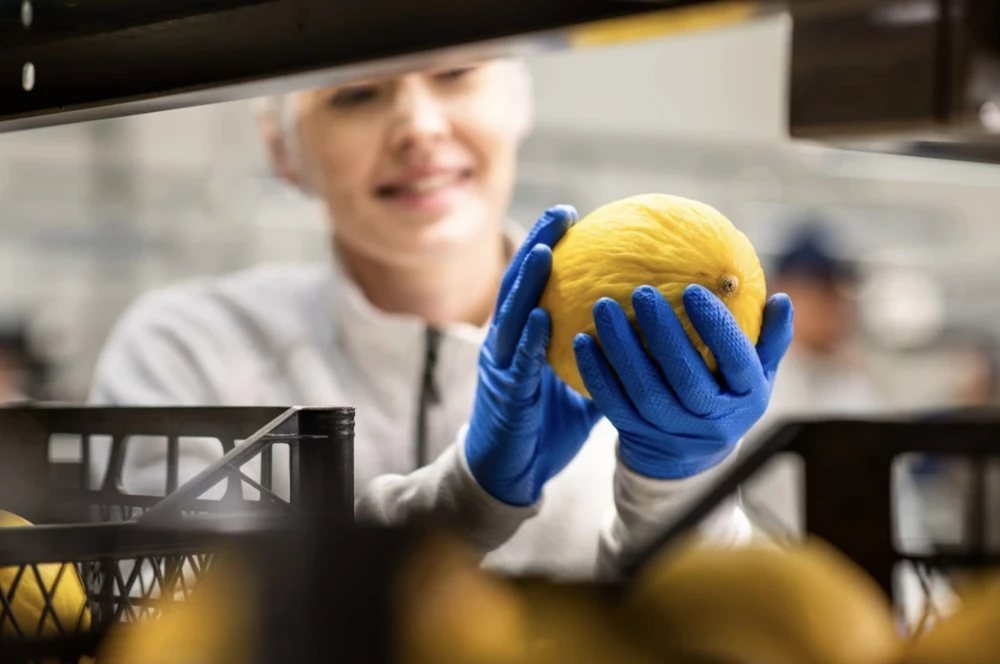 Mercator Medical Mercator GoGrip nitrilo pirštinės, mėlynos (50vnt.) - XXL