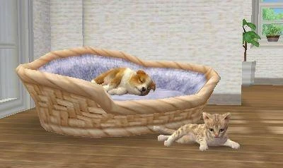 „Nintendogs and Cats 3D“: žaislinis pudelis (pasirinktas) – „Nintendo 3DS“