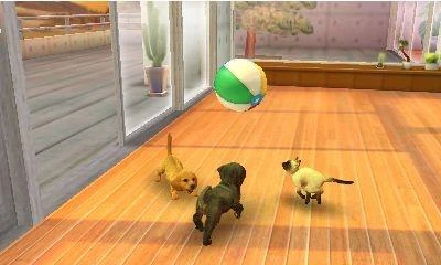 „Nintendogs and Cats 3D“: žaislinis pudelis (pasirinktas) – „Nintendo 3DS“