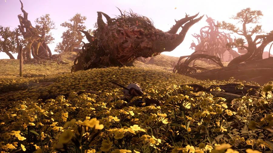 Wild Hearts PS5