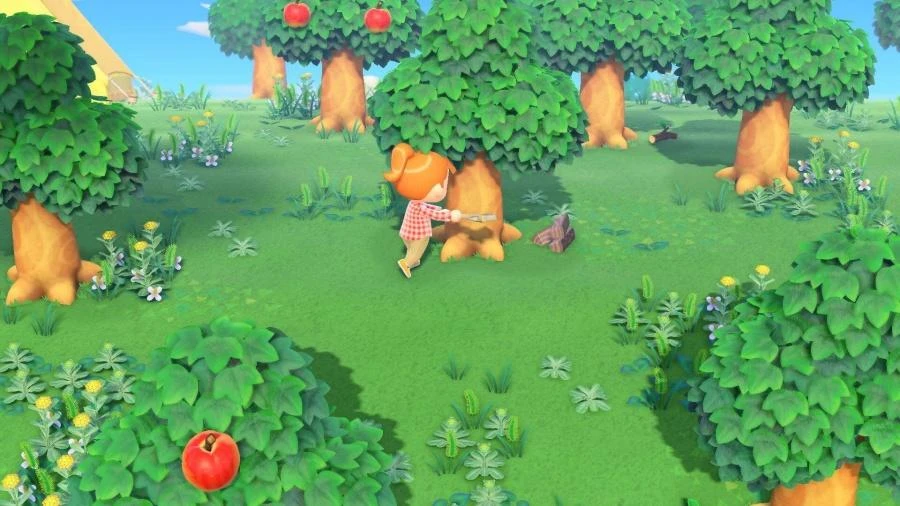 Nintendo Switch Animal Crossing: New Horizons