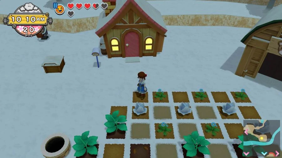 Nintendo Natsume Harvest Moon: Vienas pasaulis