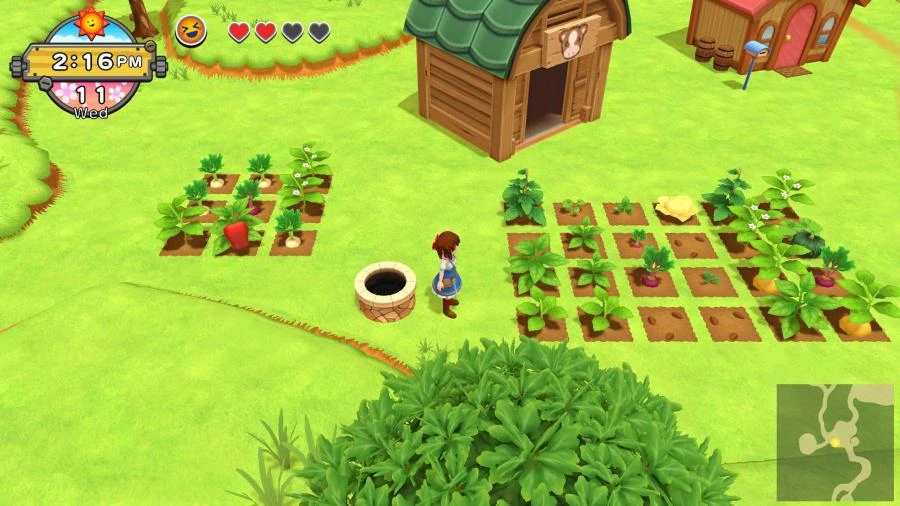 Nintendo Natsume Harvest Moon: Vienas pasaulis