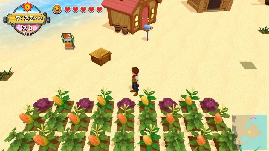 Nintendo Natsume Harvest Moon: Vienas pasaulis