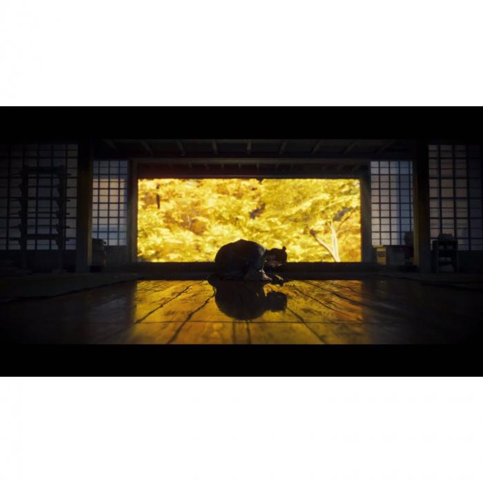 Sony Sucker Punch Tsushimos vaiduoklis (režisūrinis variantas)