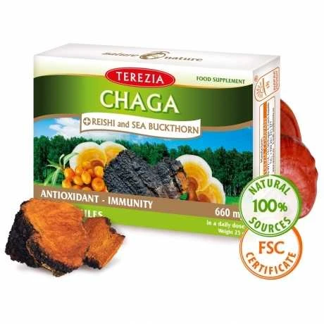 TEREZIA CHAGA IR REISHI GRYBAI SU ŠALTALANKIŲ ALIEJUMI