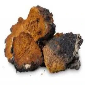 TEREZIA CHAGA IR REISHI GRYBAI SU ŠALTALANKIŲ ALIEJUMI