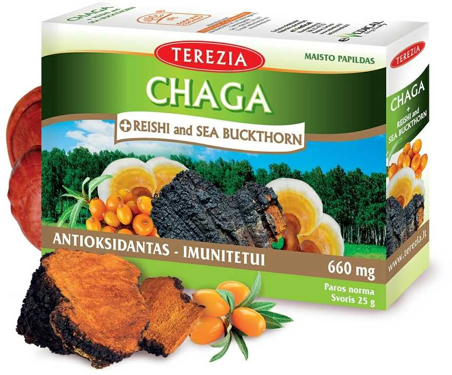 TEREZIA CHAGA IR REISHI GRYBAI SU ŠALTALANKIŲ ALIEJUMI