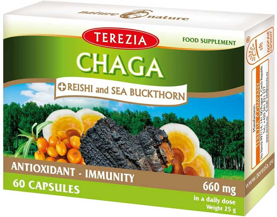 TEREZIA CHAGA IR REISHI GRYBAI SU ŠALTALANKIŲ ALIEJUMI