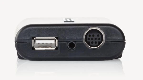 Dension Gateway 300 automobilinis adapteris: jungčių panelė