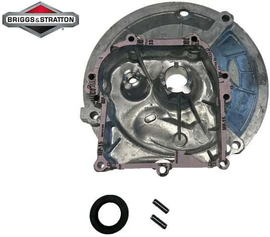 Briggs & Stratton KARTERIS BRIGGS&amp;STRATTON OHV Originali dalis