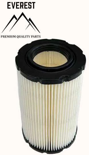 Briggs & Stratton ORO FILTRAS BRIGGS &amp; STRATTON 1 CILINDRO 15–19 AG