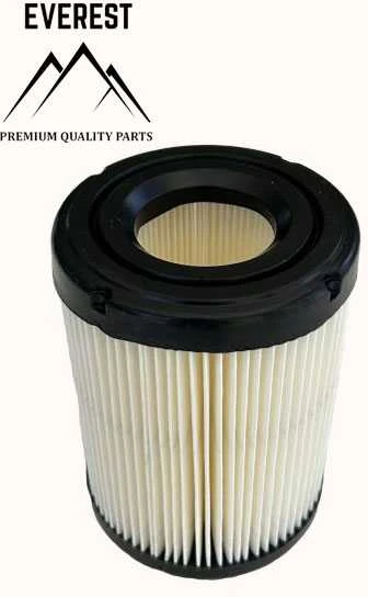 Briggs & Stratton ORO FILTRAS BRIGGS&amp;STRATTON 1 VALEC NAUJO MODELIO 10KM-14KM
