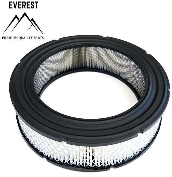 Briggs & Stratton ORO FILTRAS BRIGGS&amp;STRATTON VANGUARD 692519
