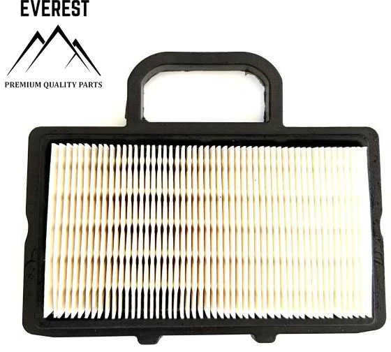 Briggs & Stratton ORO FILTRAS BRIGGS&amp;STRATTON 2 CILINDRŲ NAUJO TIPO EVEREST