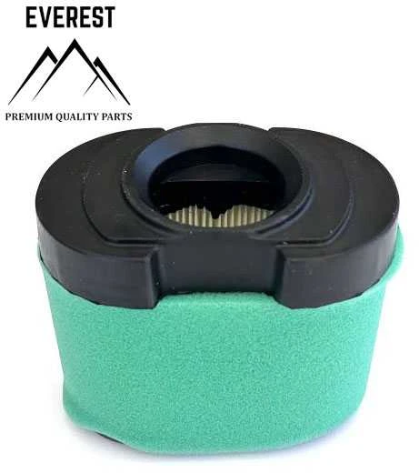Briggs & Stratton ORO FILTRAS BRIGGS&amp;STRATTON 2 VALCE OHV NAUJO MODELIO
