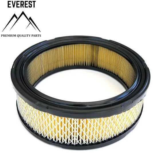 Briggs & Stratton ORO FILTRAS BRIGGS&amp;STRATTON VANGUARD 2 CYLINDERS EVEREST