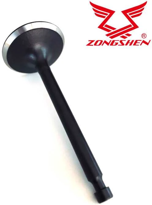ĮSIURBIMO VOŽTUVAS ZONGSHEN XP420