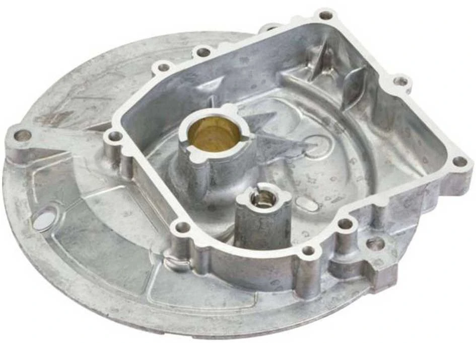 Briggs & Stratton KARTERIS BRIGGS&amp;STRATTON OHV Originali dalis