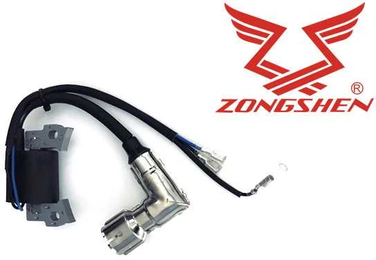 Uždegimo Ritė ZONGSHEN NH150H