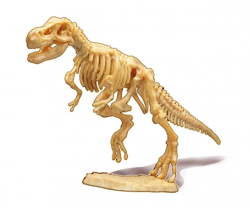Dėlionė Buki France T-Rex griaučių kasinėjimo rinkinys 20 cm su tikra fosilija vaikams 8+