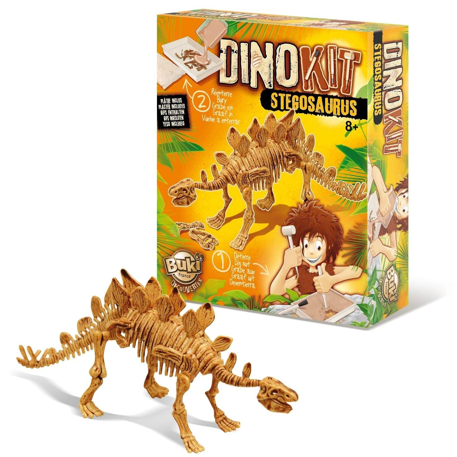 Tyrimų rinkinys, Stegosaurus, Buki DinoKit