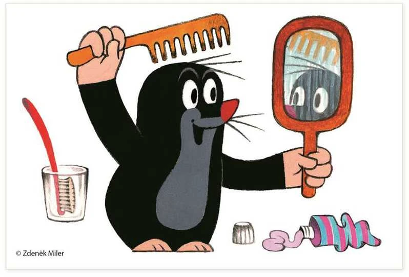 DINO Mediniai paveikslų kubeliai Mole 6 vnt