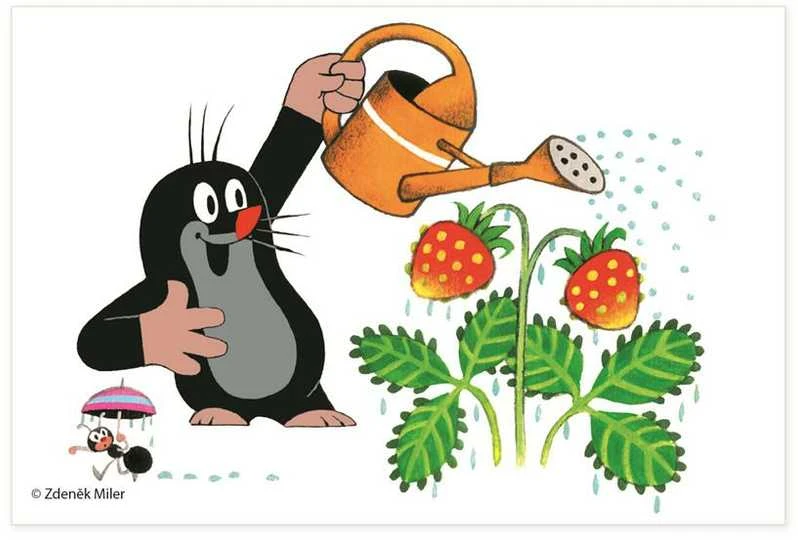 DINO Mediniai paveikslų kubeliai Mole 6 vnt