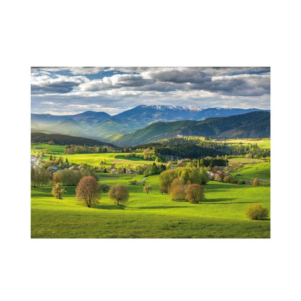 Dėlionė Dino Puzzle 3000 Pieces: Spring
