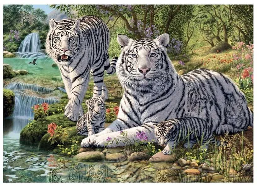 Dėlionė Dino Secret Puzzle 1000 Pieces: Baltas Tiger